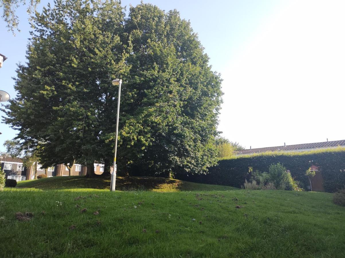 Homestay Near A Station And Park Birmingham Extérieur photo
